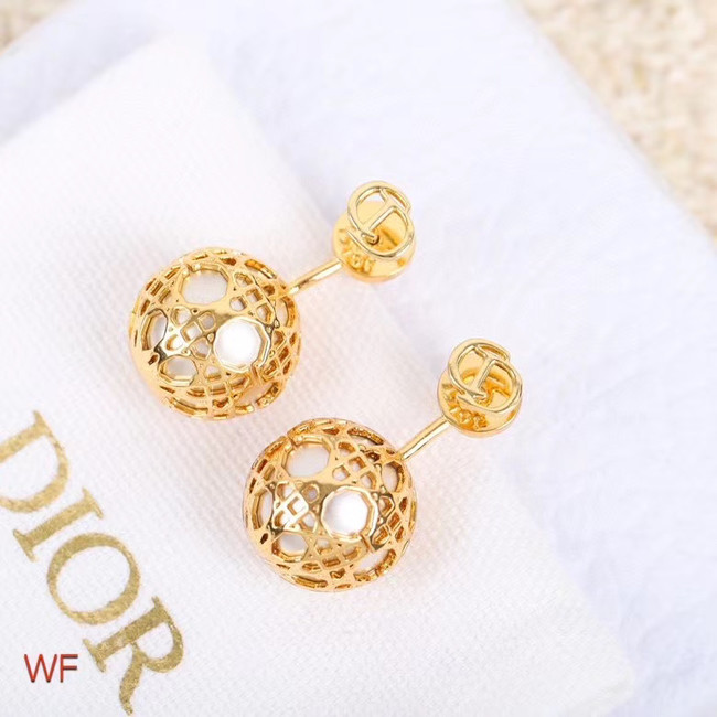 Dior Earrings CE5254