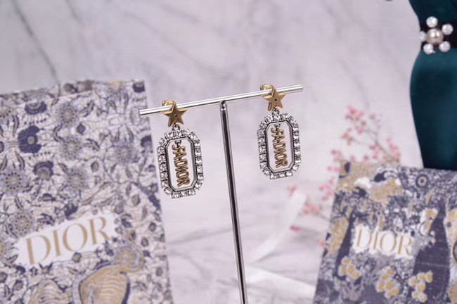 Dior Earrings CE5263