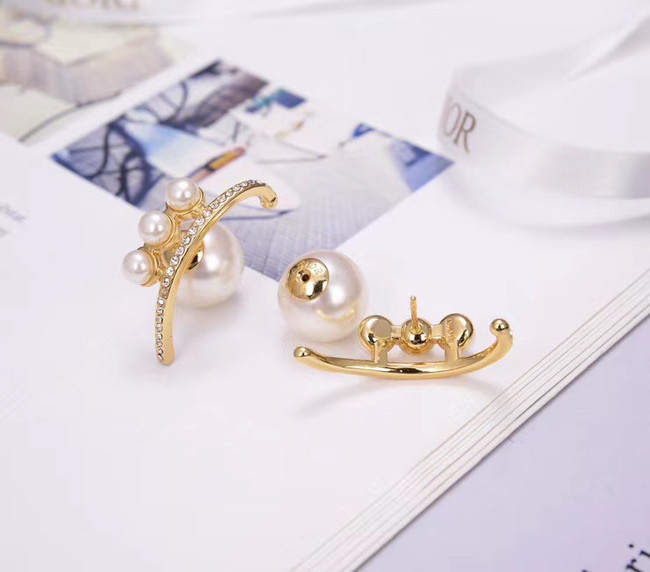 Dior Earrings CE5266