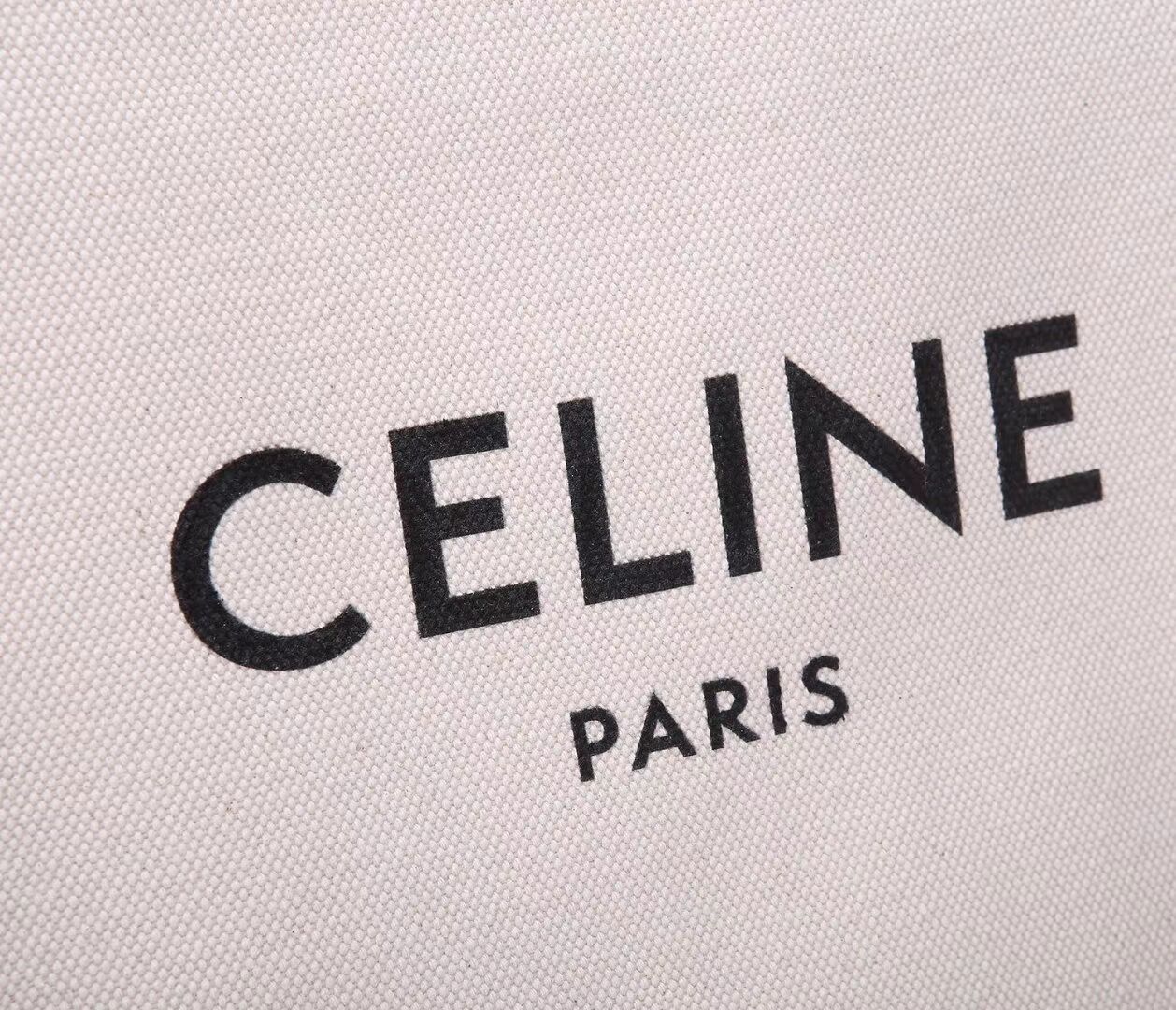 Celine TEEN TRIOMPHE BAG IN TRIOMPHE CANVAS AND CALFSKIN CL90402 white