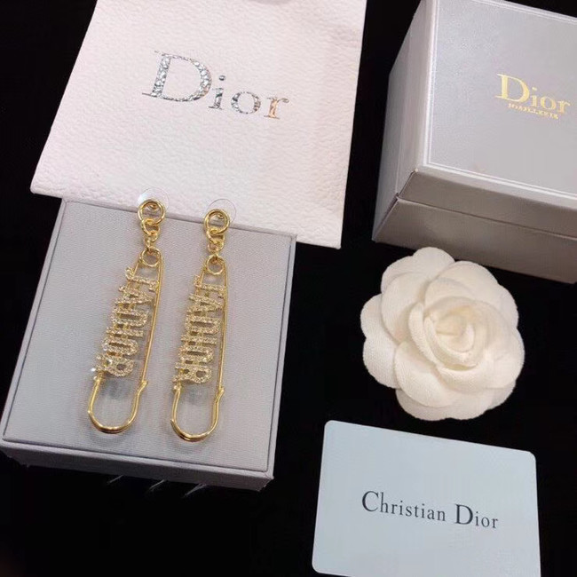Dior Earrings CE5288
