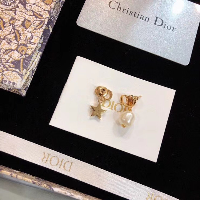 Dior Earrings CE5358