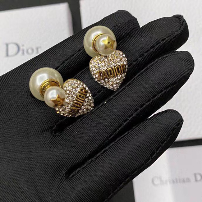 Dior Earrings CE5362