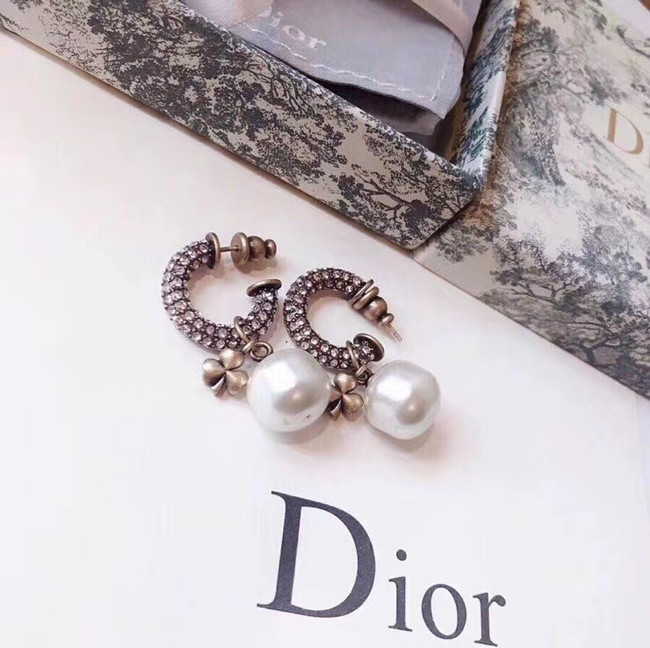 Dior Earrings CE5363