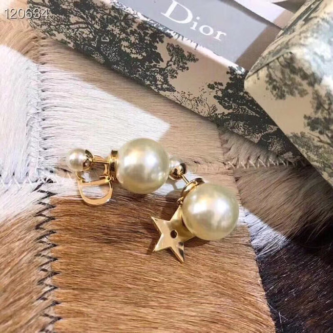 Dior Earrings CE5364