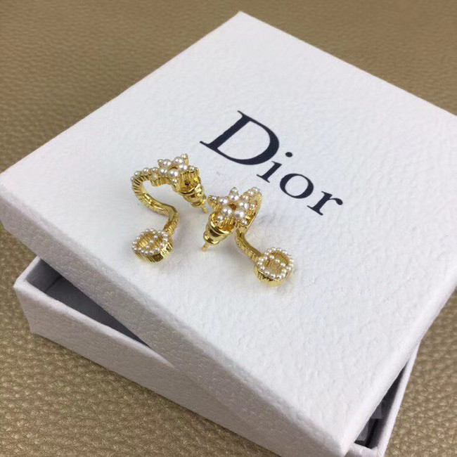 Dior Earrings CE5365
