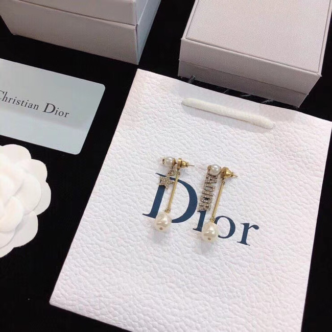 Dior Earrings CE5366