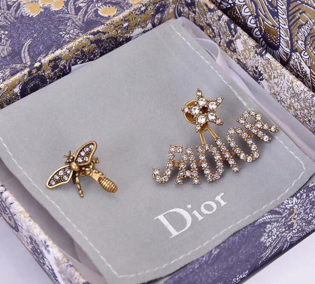 Dior Earrings CE5368