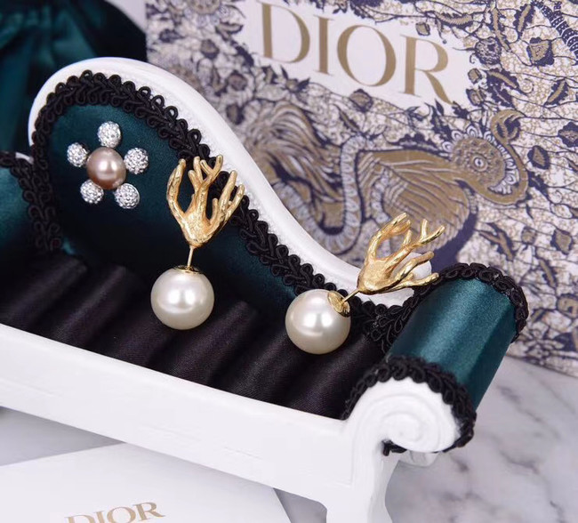 Dior Earrings CE5437