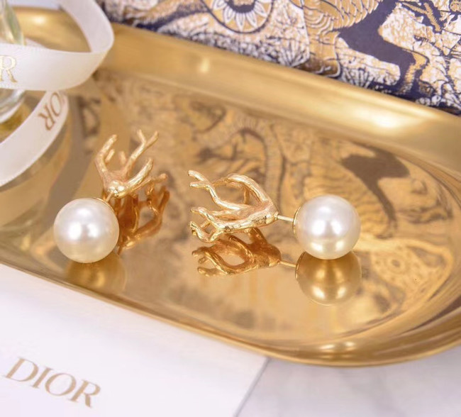 Dior Earrings CE5437
