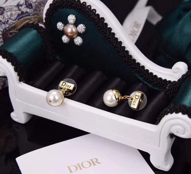 Dior Earrings CE5444