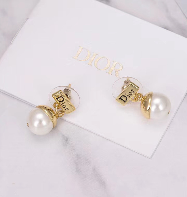 Dior Earrings CE5444