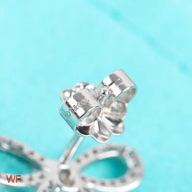 TIFFANY Earrings CE5431