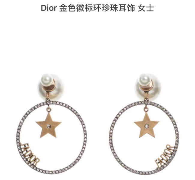 Dior Earrings CE5454