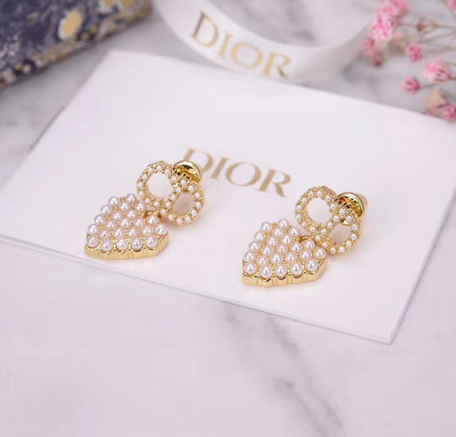 Dior Earrings CE5455