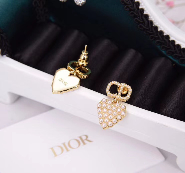 Dior Earrings CE5455