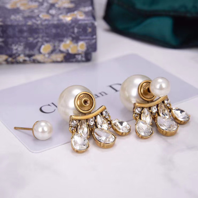 Dior Earrings CE5456