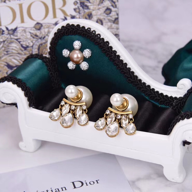 Dior Earrings CE5456