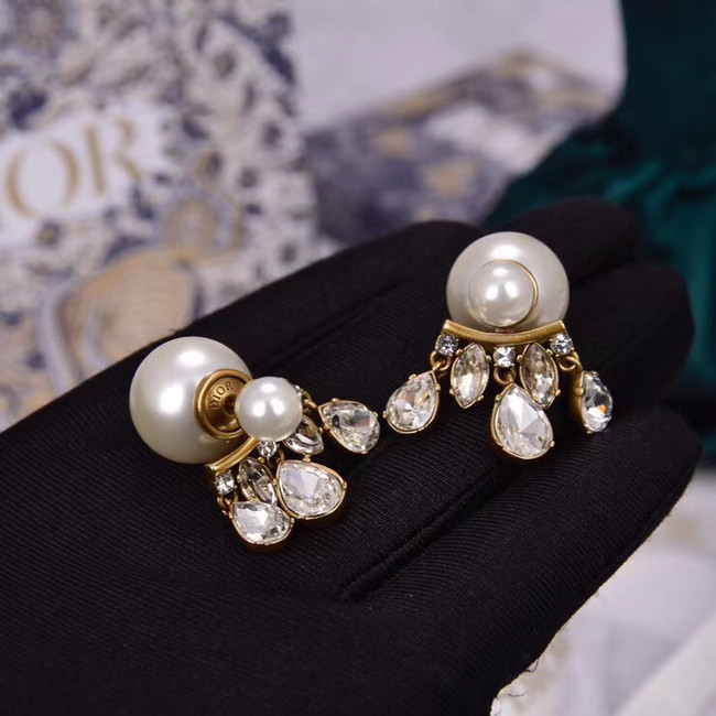 Dior Earrings CE5456