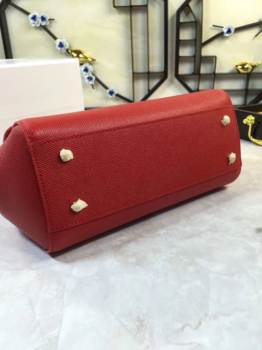 Dolce & Gabbana Origianl Leather 4136 red