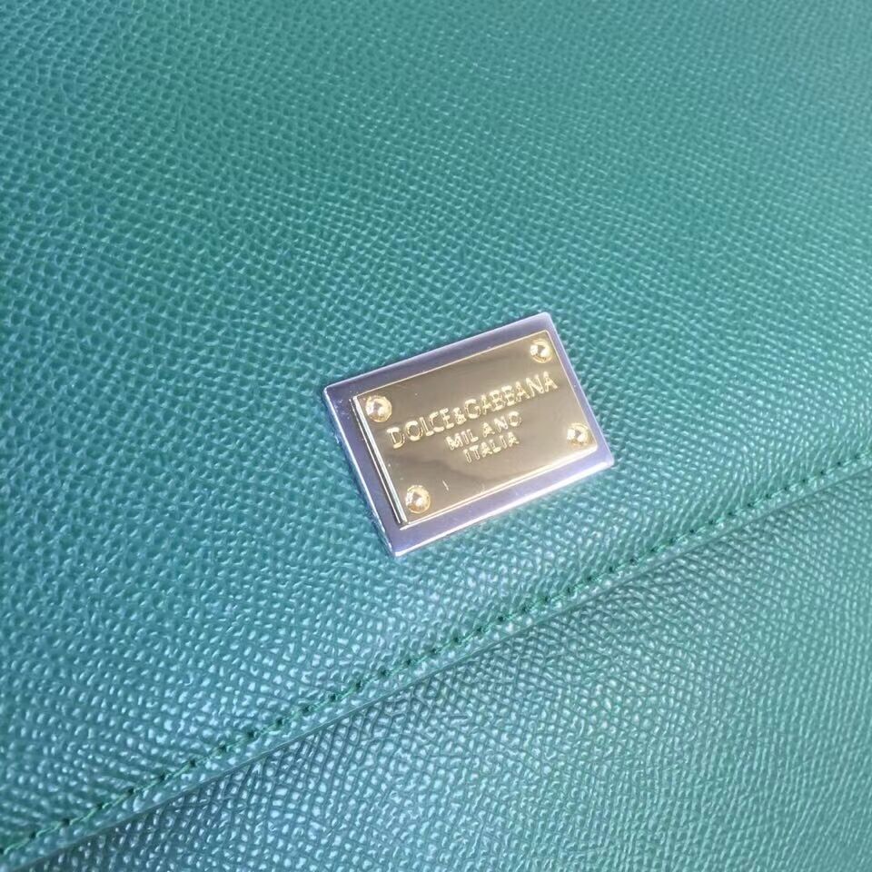 Dolce & Gabbana Origianl Leather 4138 Large blackish green