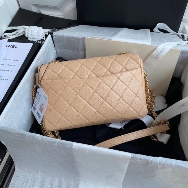 Chanel Original Lather Flap Bag AS36555 Beige