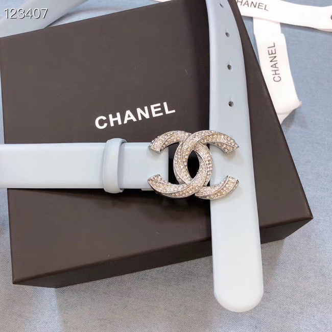 Chanel Original Calf Leather 3602 light blue&Silver