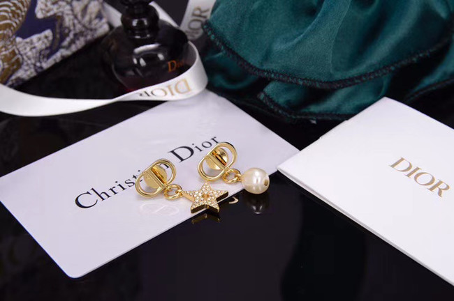 Dior Earrings CE5551