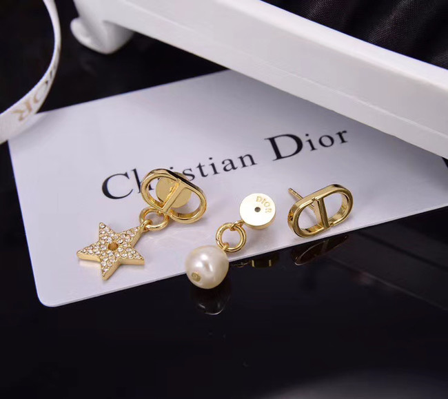 Dior Earrings CE5551