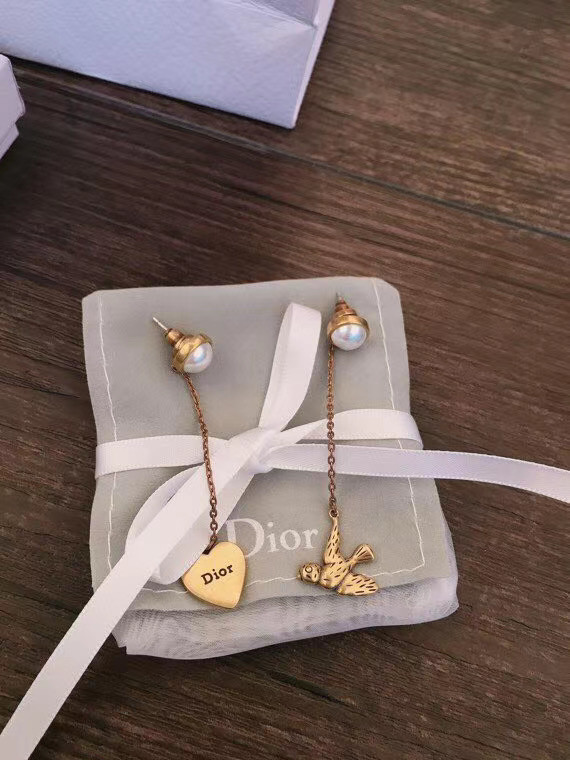 Dior Earrings CE5552