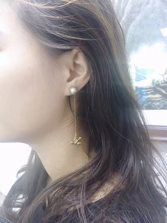 Dior Earrings CE5552