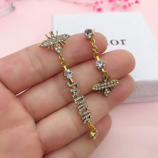 Dior Earrings CE5554