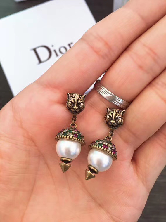 Dior Earrings CE5555