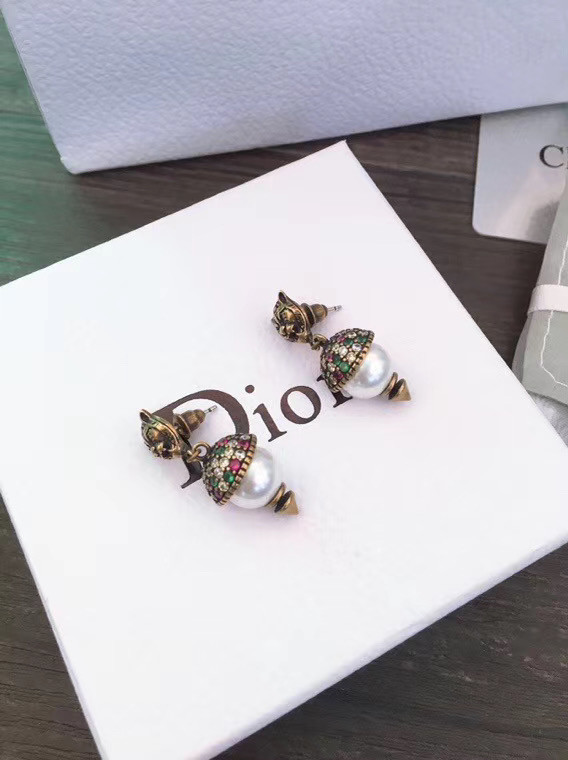 Dior Earrings CE5555