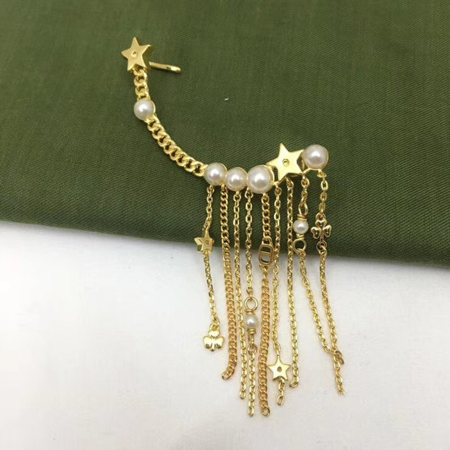 Dior Earrings CE5559