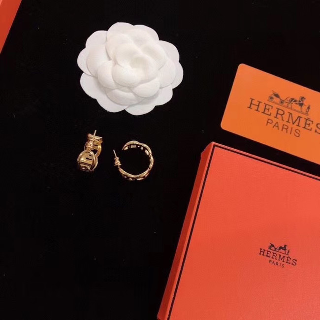 Hermes Earrings CE5590