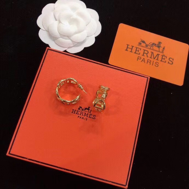 Hermes Earrings CE5590