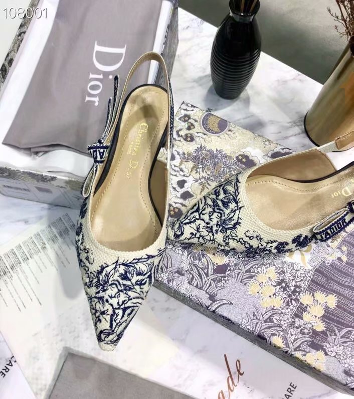 Dior Shoes Dior694-7