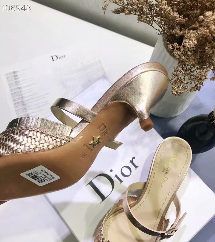 Dior Shoes Dior713DJ-1