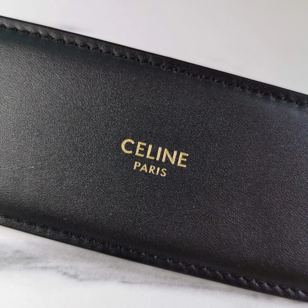 Celine SMALL CAMERA BAG IN TRIOMPHE CANVAS CL90822 black