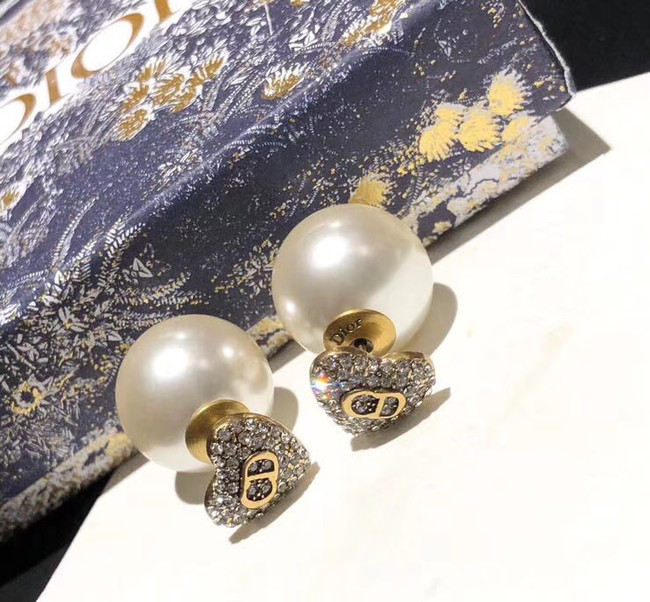 Dior Earrings CE5628