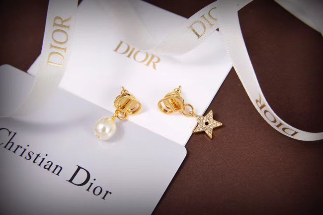 Dior Earrings CE5666