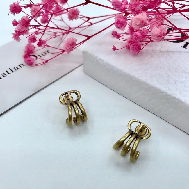 Dior Earrings CE5670