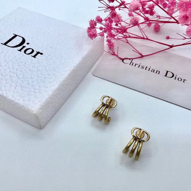 Dior Earrings CE5670
