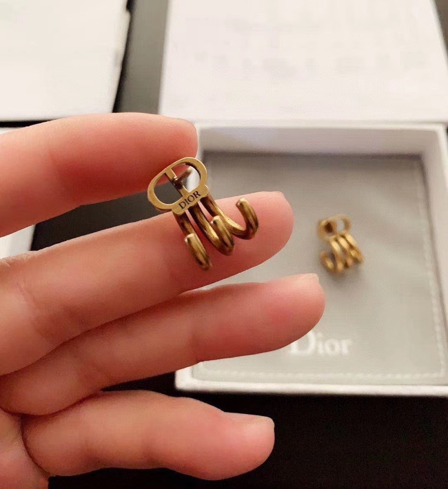 Dior Earrings CE5670