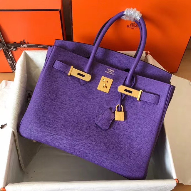 Hermes Birkin Bag Original Leather 17825 purple