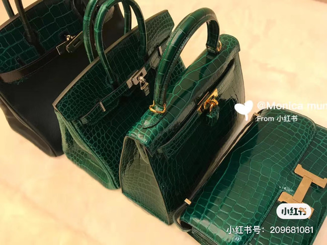 Hermes Birkin Bag Original Leather crocodile HBK35 green