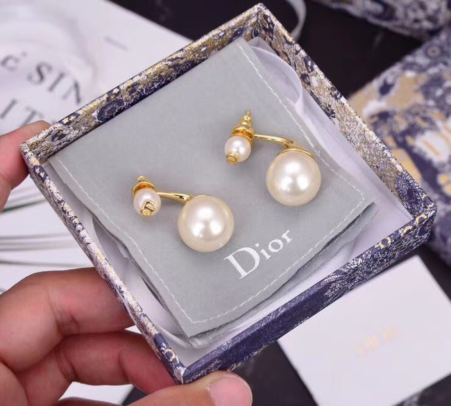 Dior Earrings CE5740