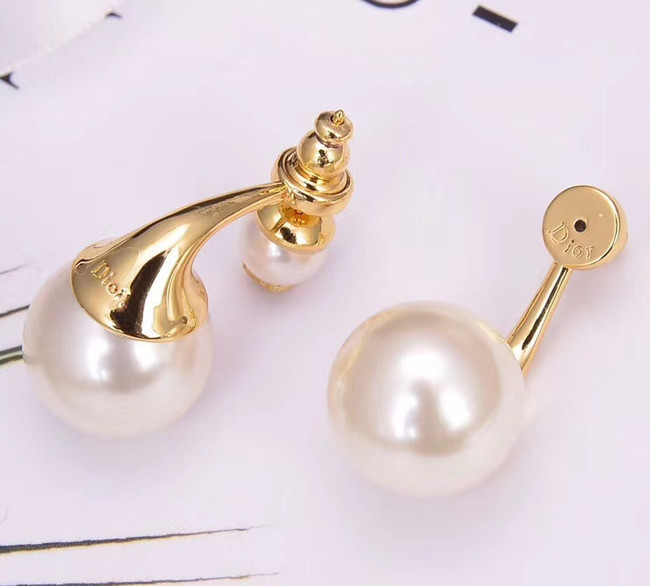 Dior Earrings CE5740