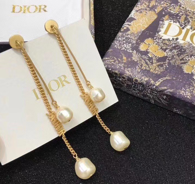 Dior Earrings CE5742